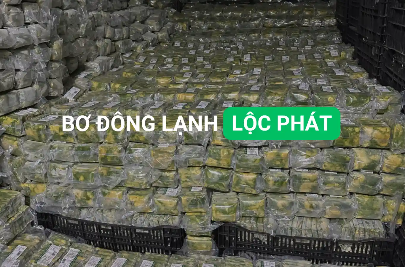 Bơ đông lạnh